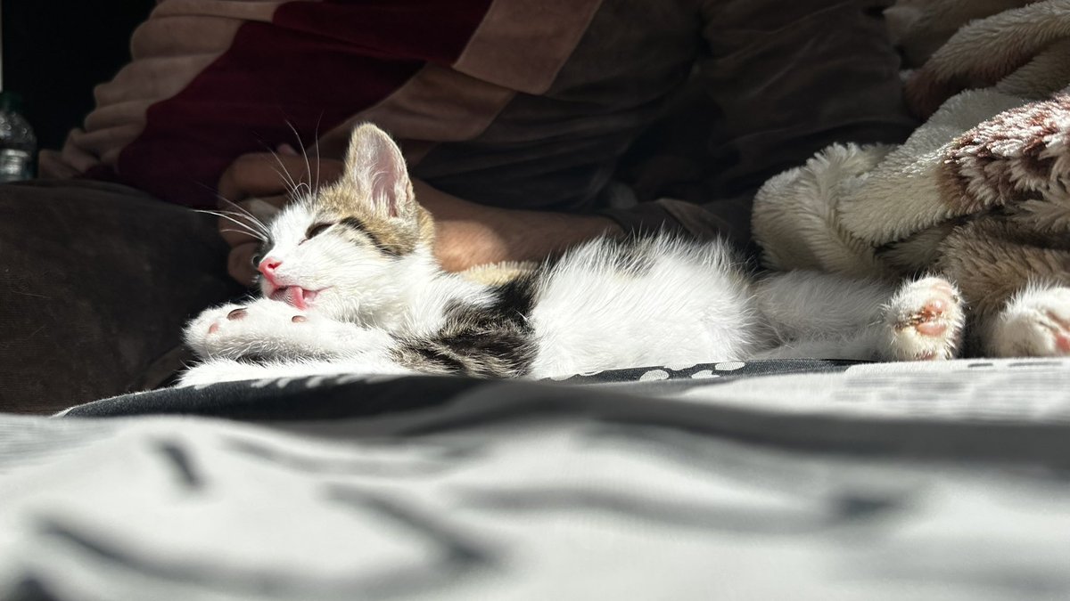 ykdanslamaison's tweet image. ᴛʜᴇ ᴡᴏʀʟᴅ ɪs ʏᴏᴜʀs 🤍
#RealLink🐈