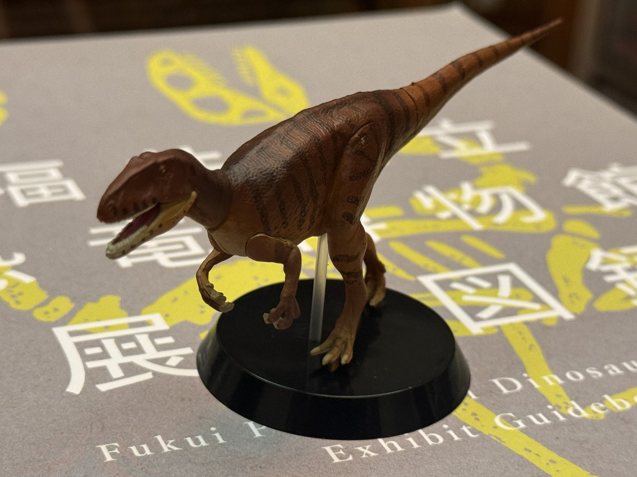 ゾイド』と福井県立恐竜博物館がコラボ！「福井県立恐竜博物館