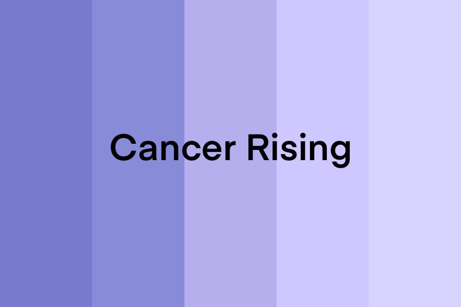 ☁️kelly tweet media