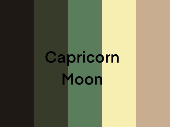 ☁️kelly tweet media