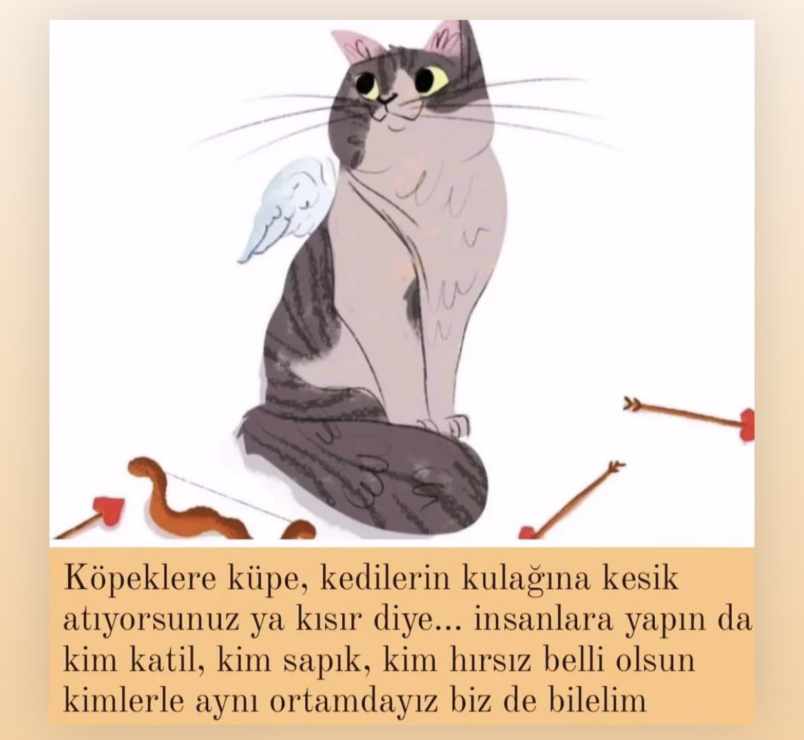 eslabtl's tweet photo. 17 Şubat dünya kediler günü 
#ErosİçinAdalet
 #ErosSahipsizDeğil   
#ibrahimkeloğlanTUTUKLANSIN https://t.co/p8N8wcq0W6