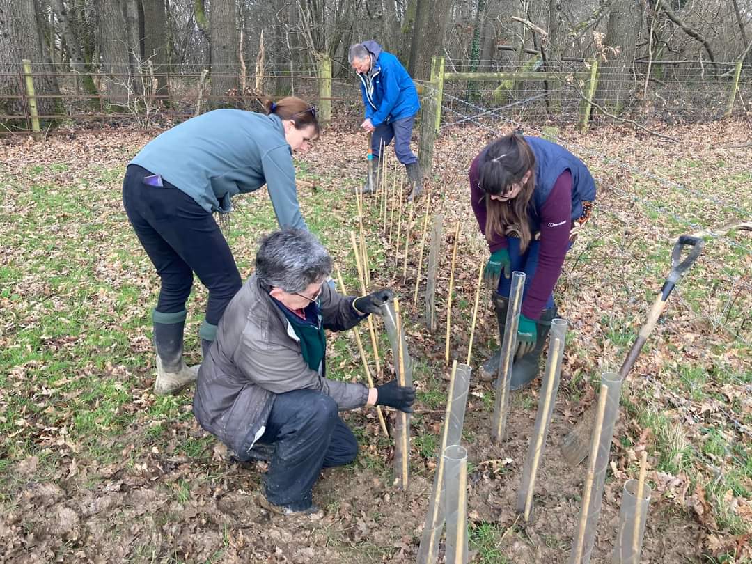 Absolutely beautiful day &amp; an amazing volunteer turnout for hedgerow planting! ☀️

Approx 170m of new trees to slow the flow of water in the Adur catchment as well as creating habitat and connectivity for wildlife. 

Massive thanks to all that took part! See you again soon🌳 💧