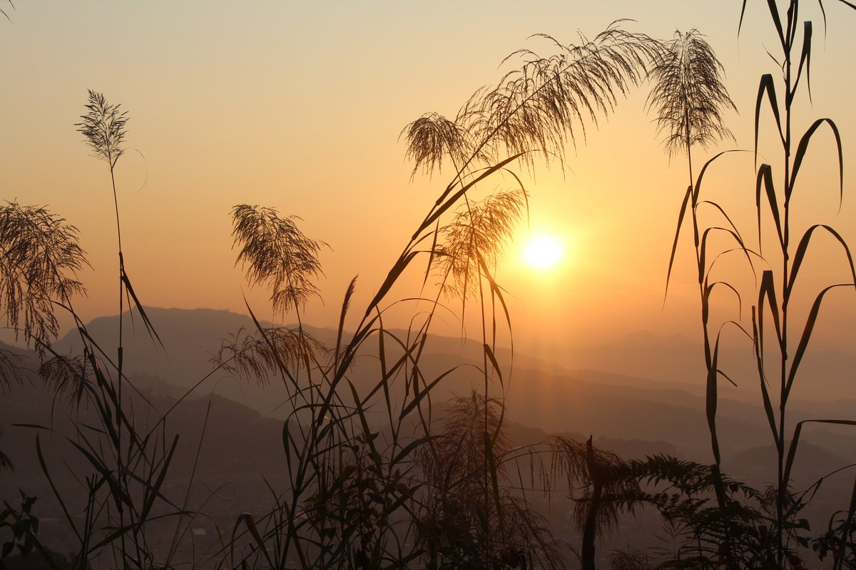 Good morning. 
instagram.com/life.of.travel…