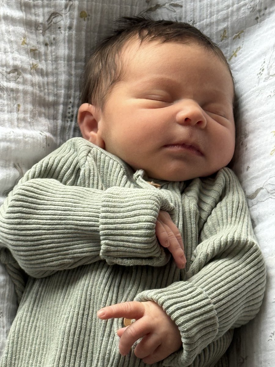 carol pettle tweet media