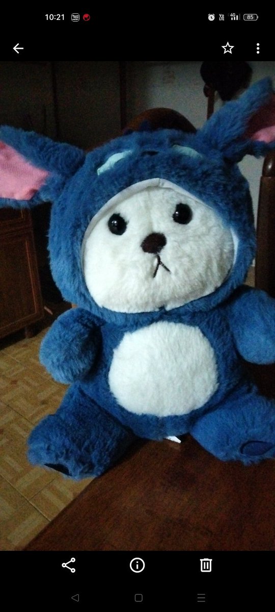 LostAngel1012's tweet photo. Urs teddy, missing it https://t.co/PXAUKm6s4m