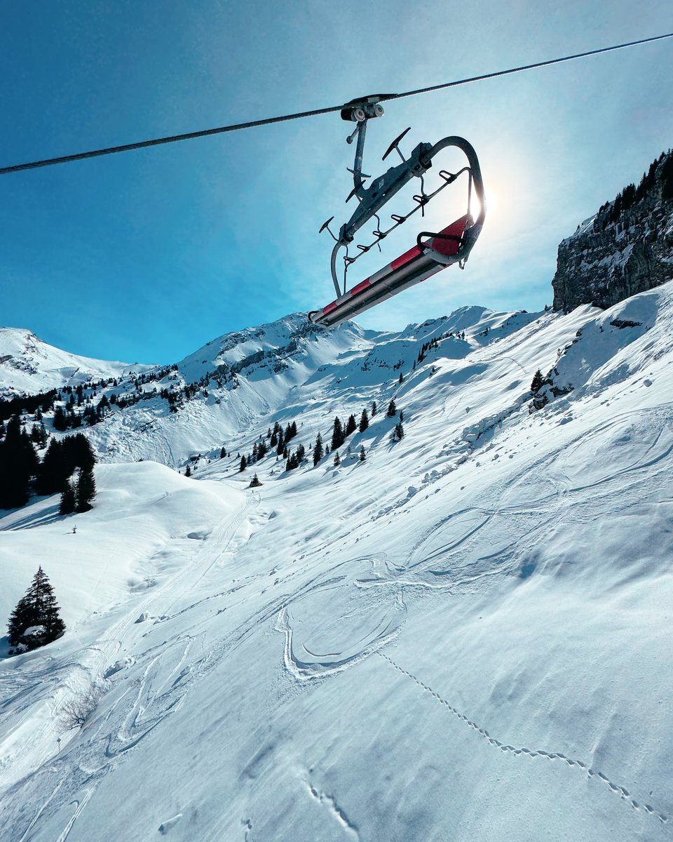 Ben Laws tweet media