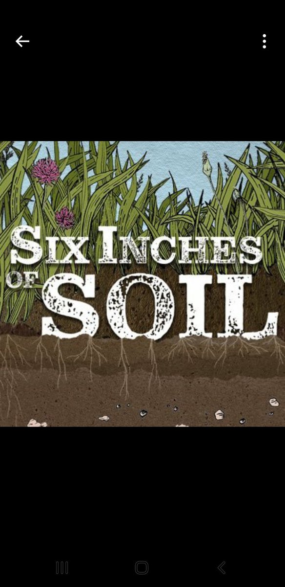 Cant wait to see @sixinchessoil in a few weeks

'You see thistles, I see Goldfinches' is the quote that has me hooked!

#naturefriendlyfarming 
#pastureforlife 
#soil
#farming