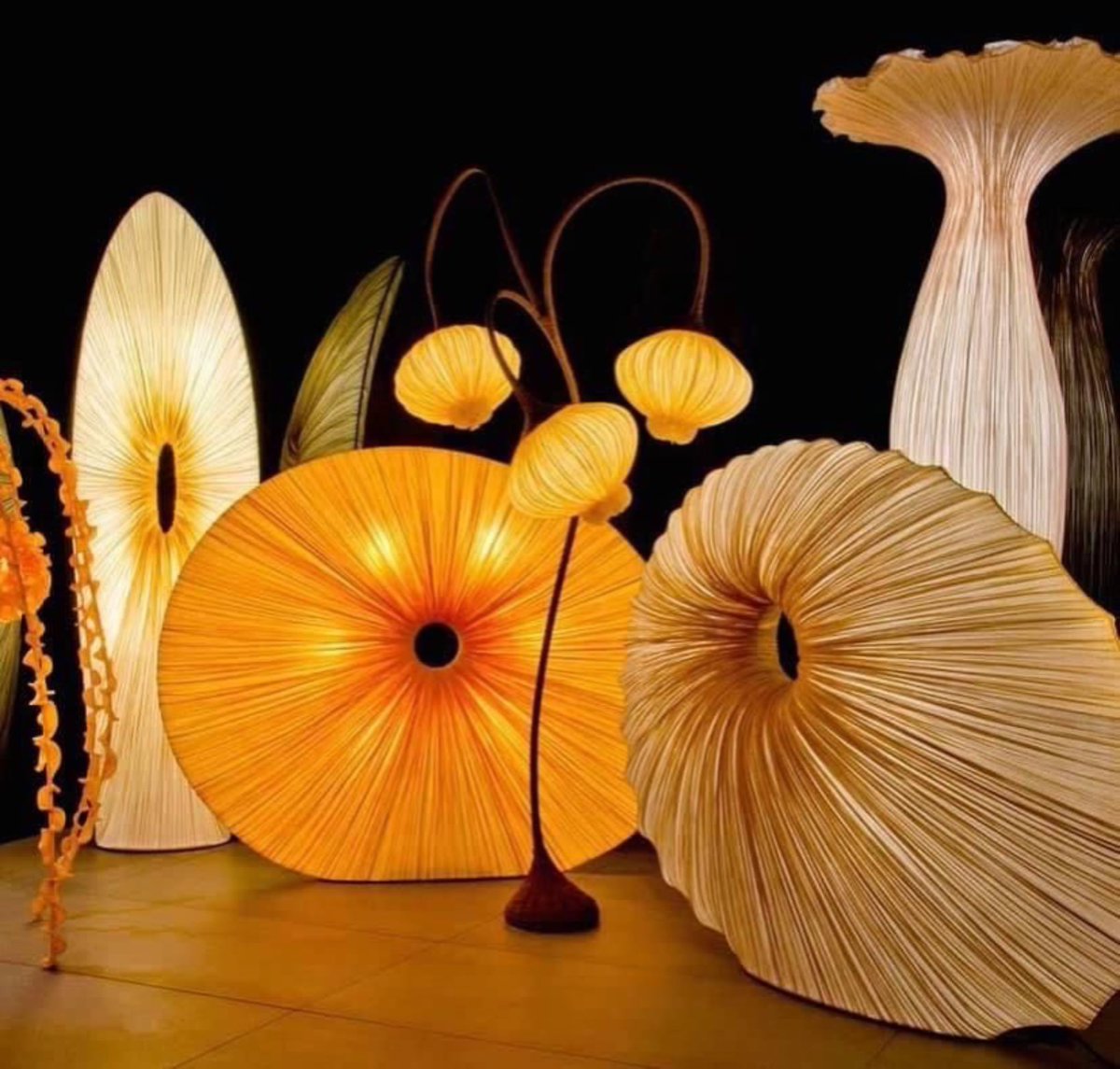 luusssso's tweet photo. Plant inspired lighting >> https://t.co/4OMDAJs3Gu