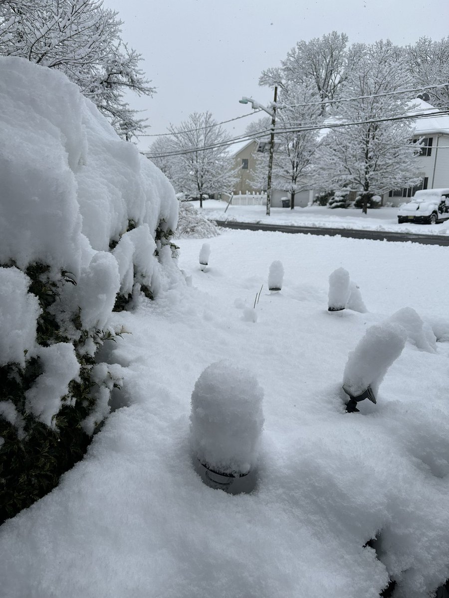 polishgoku's tweet image. #njsnow
#news12nj