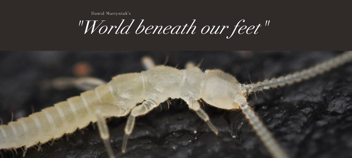 𝓓𝓪𝔀𝓲𝓭_𝓜𝓪𝓻𝓽𝔂𝓷𝓲𝓾𝓴 𓆨𓆣🇵🇱🇬🇧 tweet media