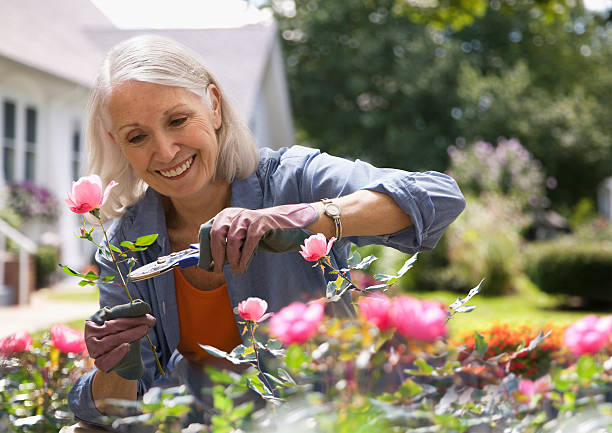 Just spent the day in the garden, surrounded by beautiful flowers and sunshine.

Stay active and free with Ammpoure 

✅️SHOP NOW🛍

#garden #flowers #sunshine #nature #outdoors #botanical #blooms #gardening #peaceful #FreedomByAmmpoure #MyTime #FamilyTime #TimeWithFriends