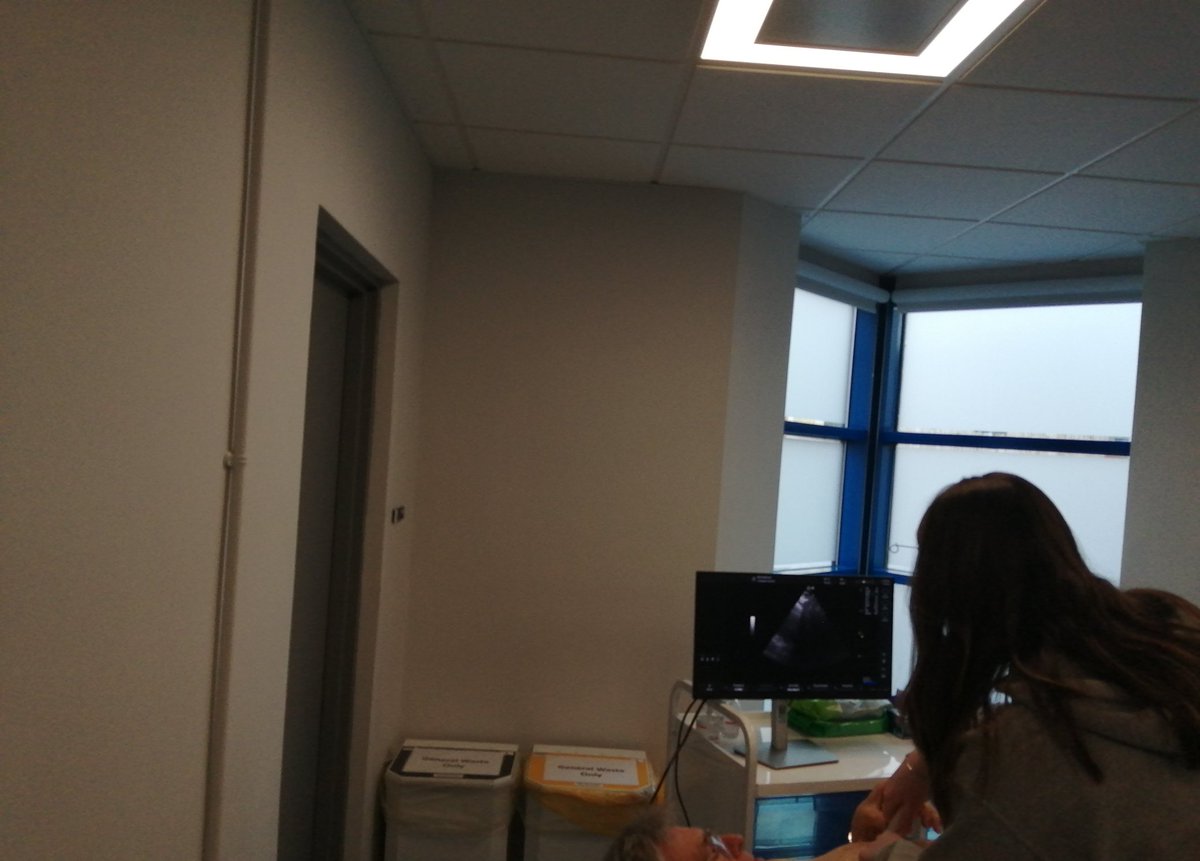 Patricia Harris tweet media