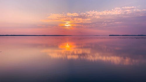 seren karcı tweet media