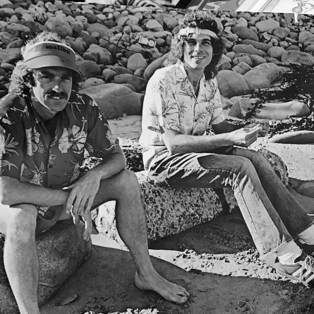 Flying Mojito Bros tweet media