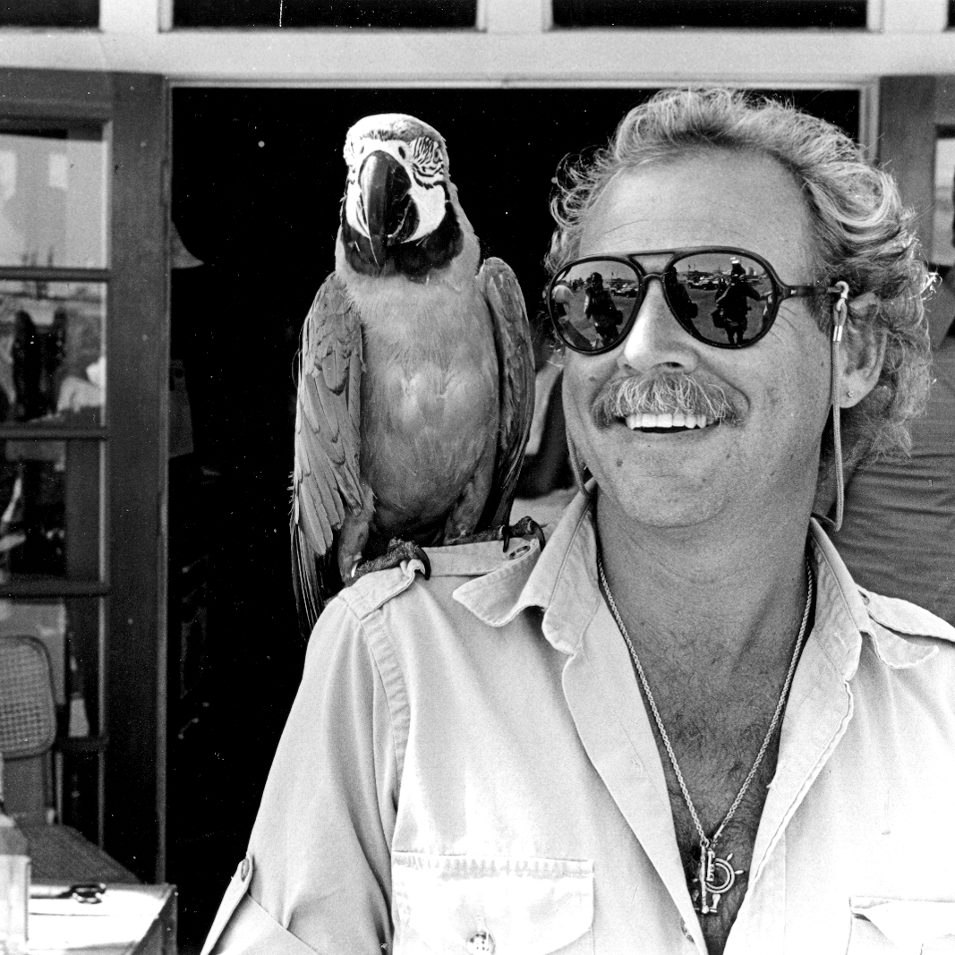 Flying Mojito Bros tweet media