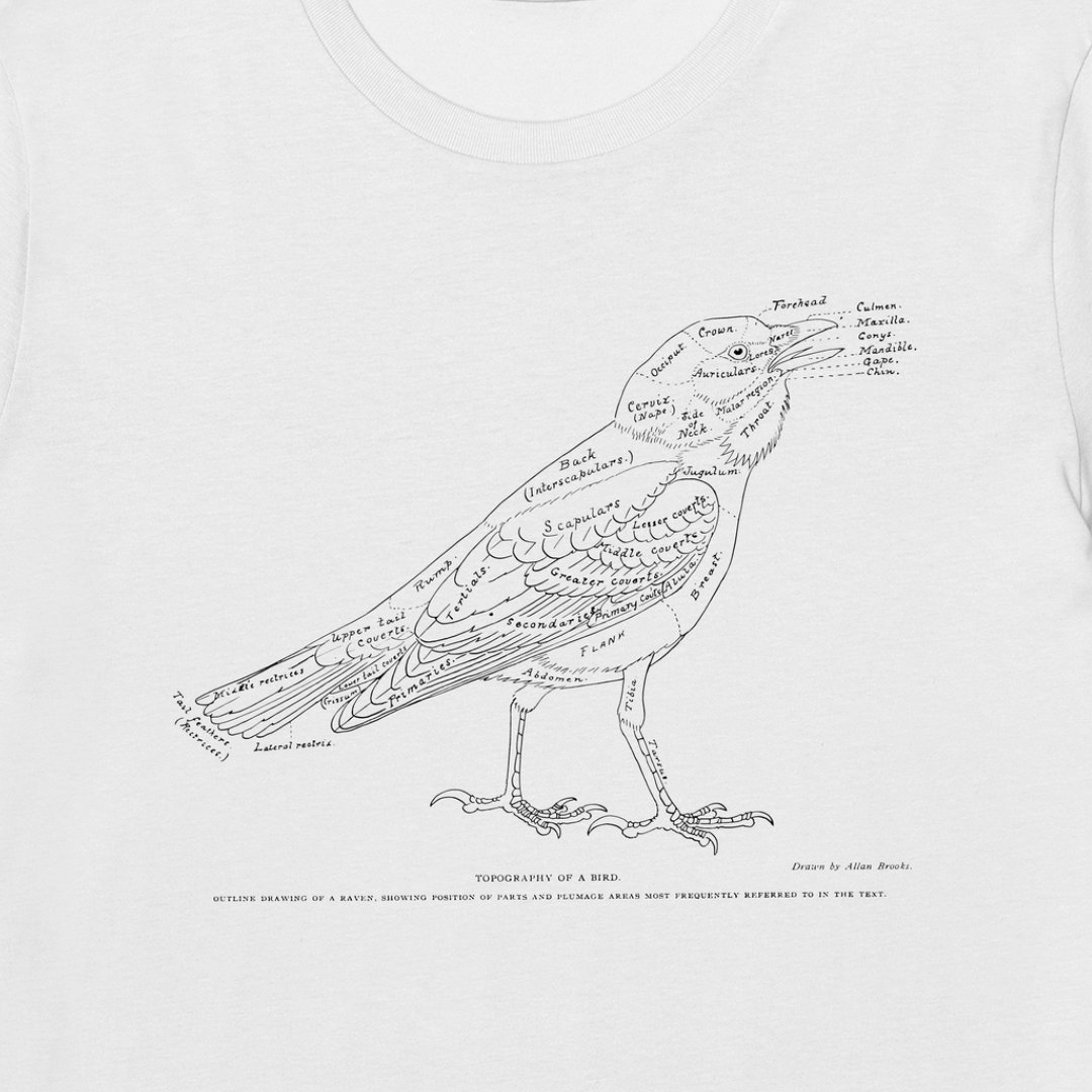 wildillustra's tweet photo. There's just 1 day left to submit your orders for our TOPOGRAPHY OF A BIRD tshirt, featuring that majestic gothic icon, the raven! 🐦‍⬛

https://t.co/W96Cqd8yUO

#Tshirt #TeeTime #GraphicTee #TshirtDesign #TshirtLove #TshirtStyle #everpress #streetstyle #raven #ornothology https://t.co/ee2jutnyoG