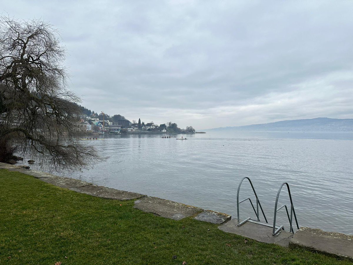 UferiniNein's tweet photo. In Richterswil zeigt sich dann die Problematik des Litterings im öffentlichen Raum. Dies wäre bei einem durchgehenden Seeuferweg nicht anders- wo der Mensch ist, ist leider auch der Abfall nicht weit.

#Züriseegnüsse
#neinzuruferinitiative https://t.co/yEsH3zGqlt