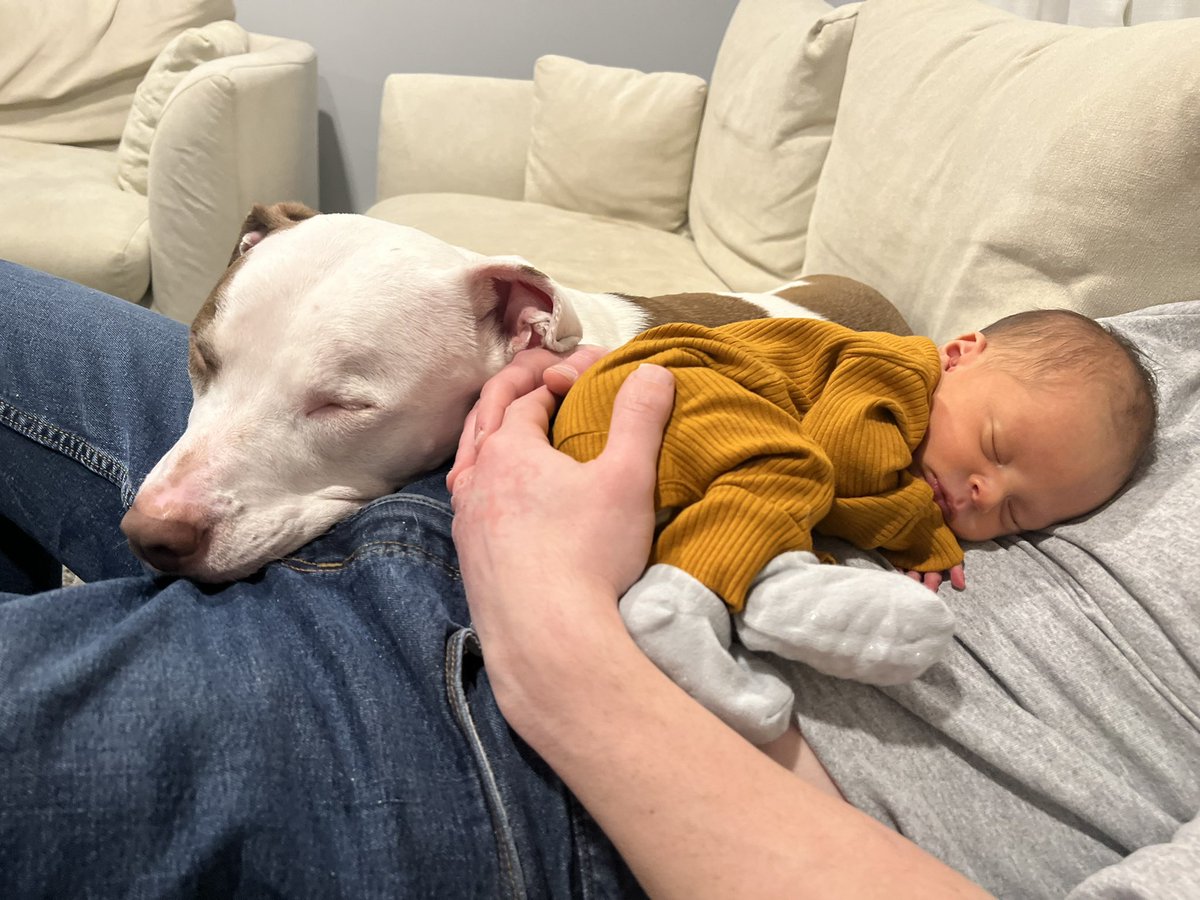 Daniella tweet media