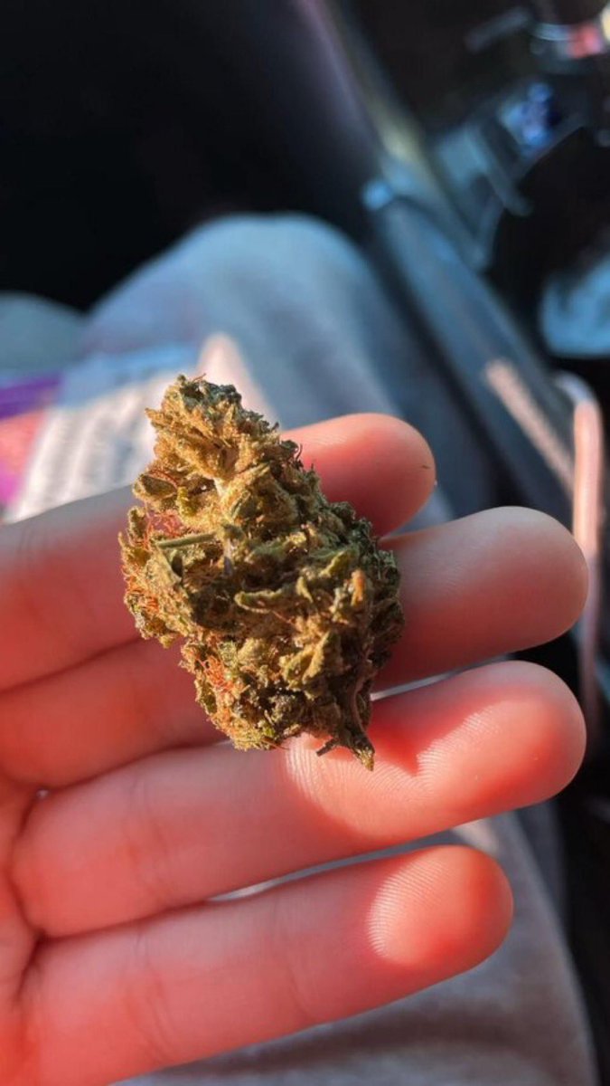 Stoner Barbie tweet media