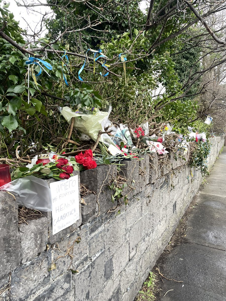 I placed flowers outside the Russian Embassy in Dublin today.

Ничего не бойтесь 
Нельзя сдаваться 

Fear nothing
We cannot give up

RIP #Navalny