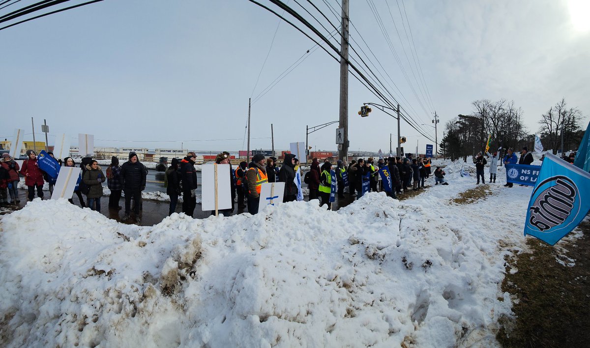 The UMFA flags were flying all day on the pickets line in support of <a href="/MSVUFA/">@MSVUFA</a> 

We’ll be there every Friday with the <a href="/CautFund/">CAUT Defence Fund</a> for as long as it takes for you to secure a fair deal and advance EDI
#supportMSVUFA 

Solidarity!