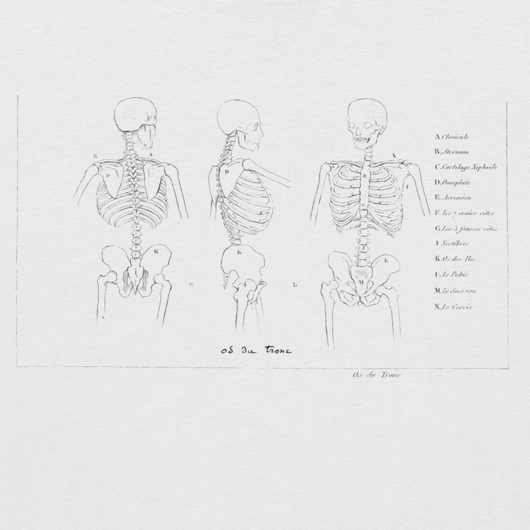 wildillustra's tweet photo. Leather &amp; Bones ☠ ☠ ☠

OS DU TRONE
Premium Classic White Tee

https://t.co/mSv74AeqBH

Allsaints Cargo Distressed Leather Biker Jacket

https://t.co/7NlLJJh46g

#anatomydrawing #anatomy #sciencedrawing #vintageillustration #tshirt #fashion #fashioninspiration #everpress https://t.co/yflUcvHTom