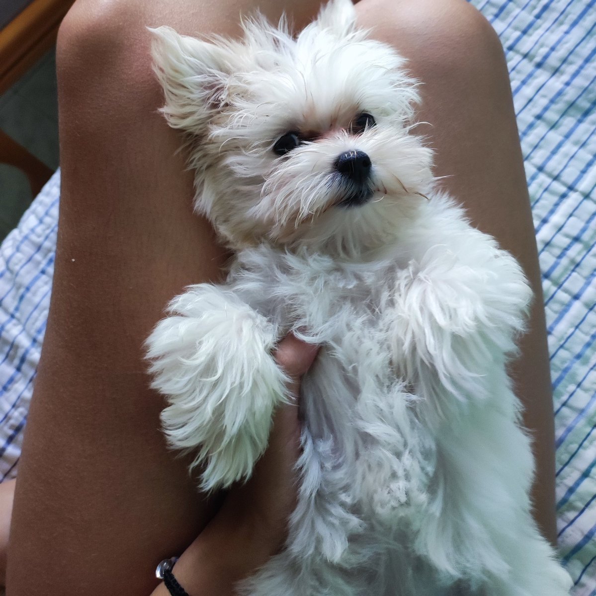 foto da minha princesa pra limpar a tml!