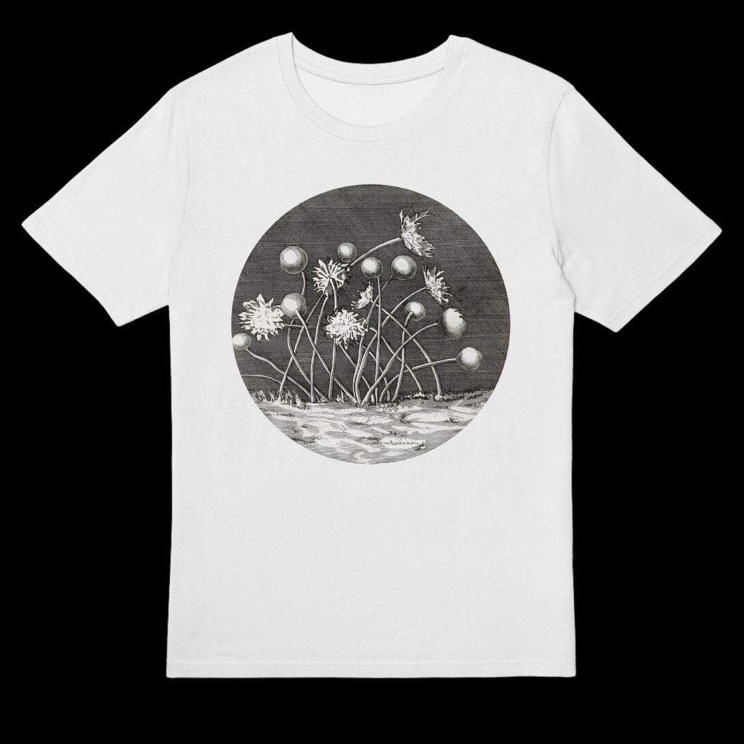 wildillustra's tweet photo. Calling all botanists. What plant is this?? 🌸🌼🌸🌿

OBSERVATIONS D'HISTOIRE NATURE

https://t.co/VekNO62BSp

#botany #botanyart #botanylovers #flowerfashion
#floralfashion #naturefashion #tshirt #tshirts
#casualwear #everpresshq #everpress https://t.co/KntQLmGtfv
