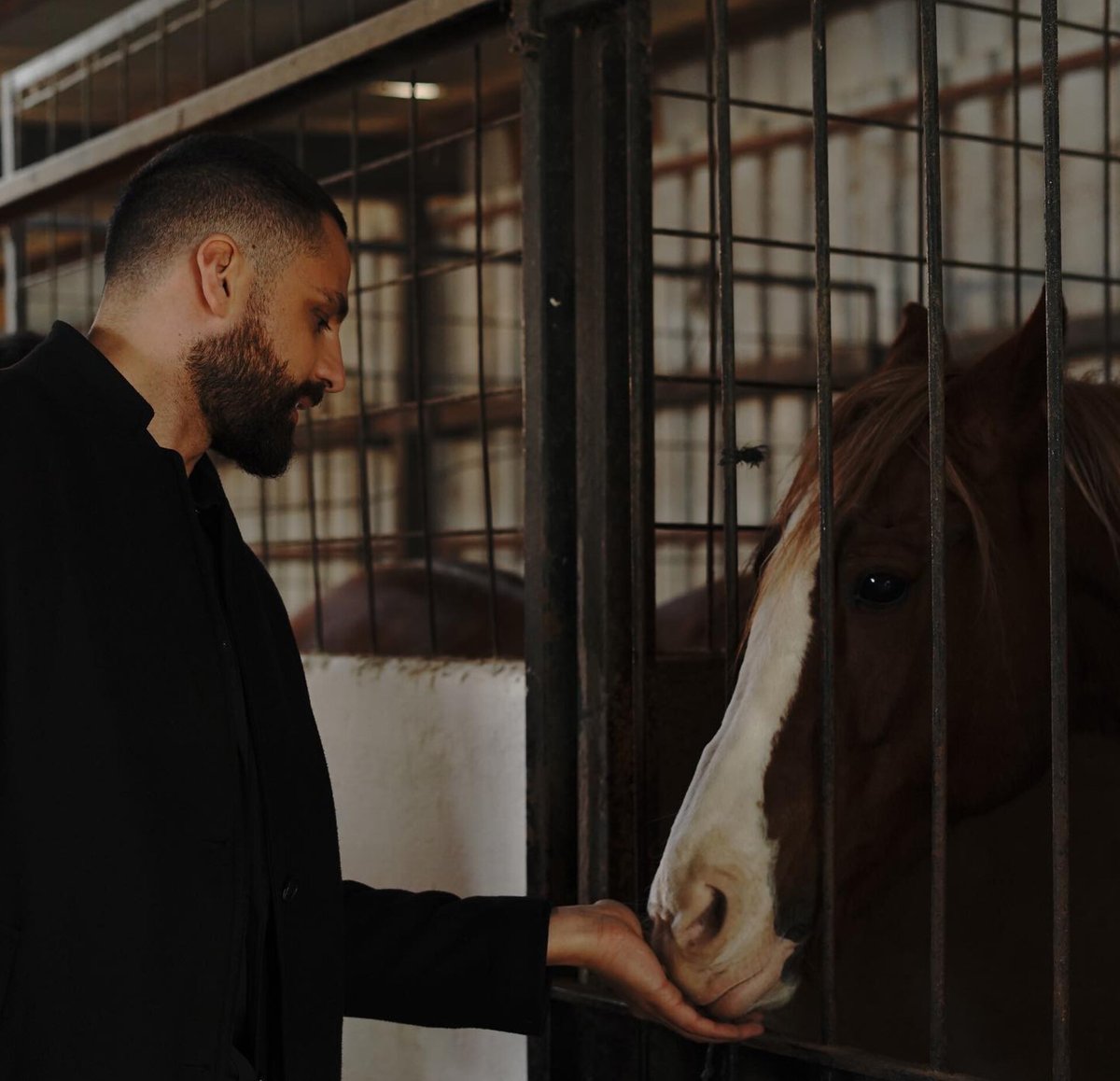 avuk                                                                          at