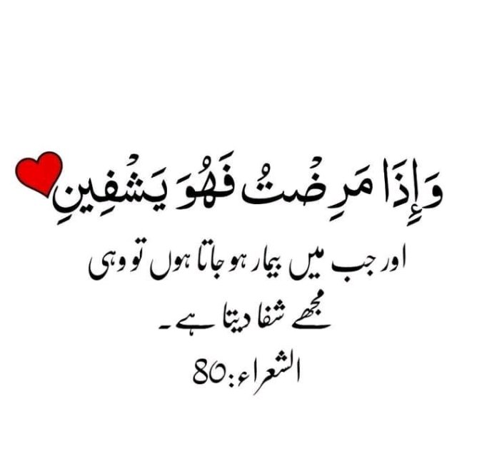 Syedwaj69829626's tweet photo. Asslam o Alikum
.
.
May Allah bless all patient with health and live long
Good Night 😴😴
May You all have a good and great night
Have a sweet dreams
#NightmareSans #goodnight #havegoodnight https://t.co/qsrTuuVXOA