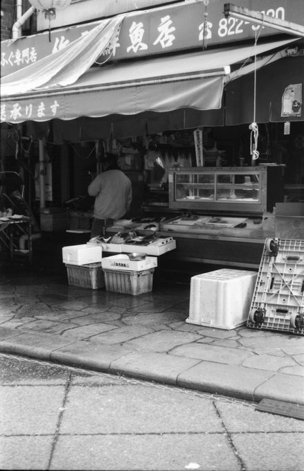 面白みに欠ける写真ですが参考例に
何かと普通に撮れないとかピントが甘いとか言われがちなライカのズマール
たまたま手に入れた個体が拭き傷やクモリなどがまったくなかったのもあると思うんですがネットの評価はだいぶ盛られてる気がするぐらいには普通に使えています
いますよね…? 