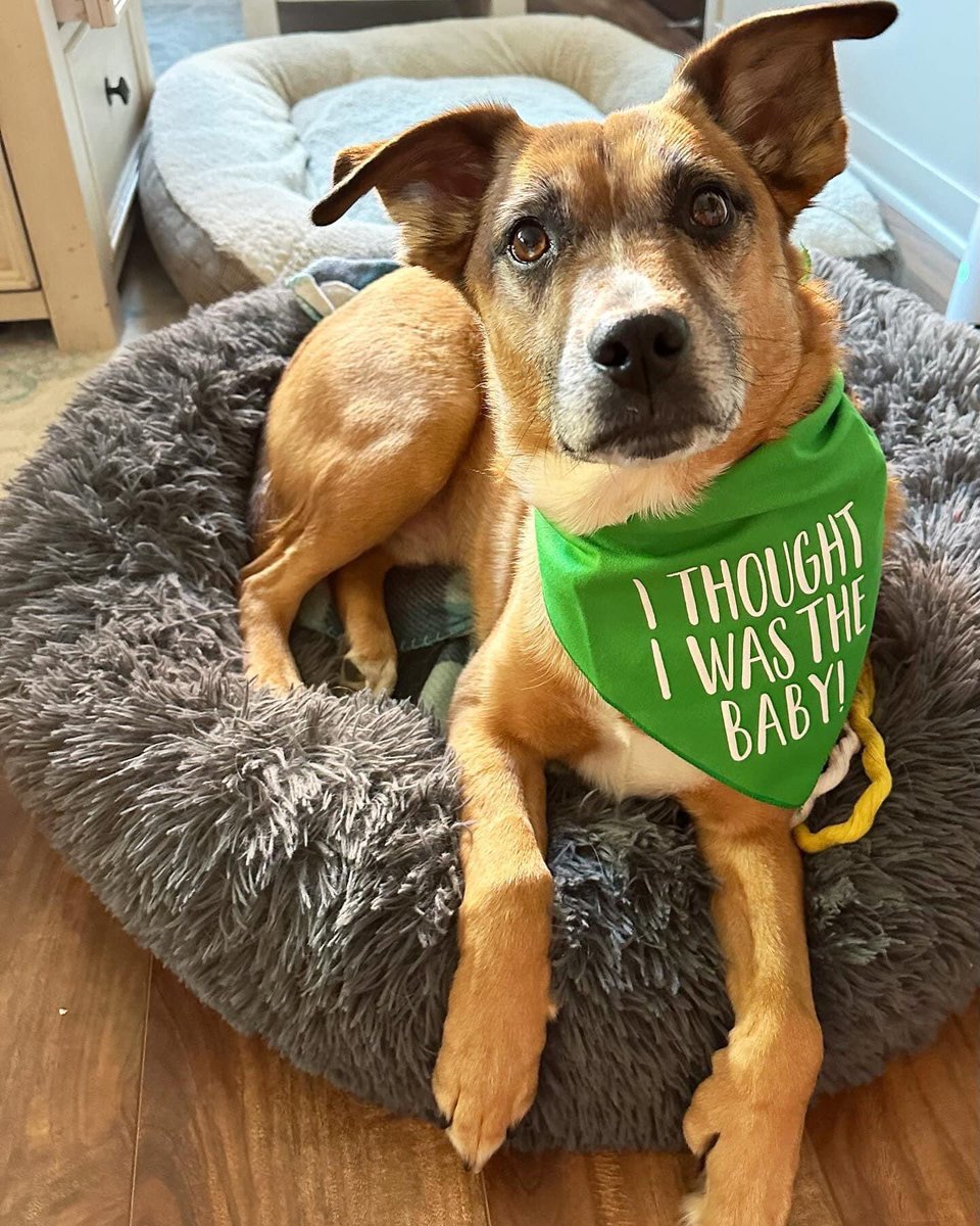 Joe Smith tweet media