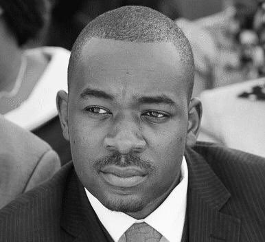 Chapwati tweet media