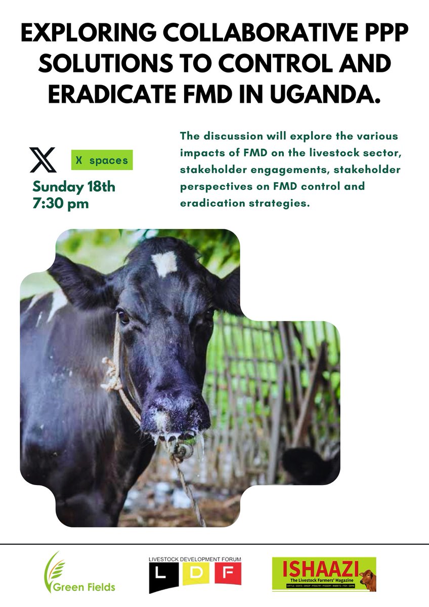 GreenFieldsRays's tweet image. Join Us this Sunday 🌍
A crucial and timely discussion. Our panelists will discuss role of PPPs,  existing and innovative strategies to combat FMD in Uganda. 
#FMDcontrol #PPP #livestockwelfare #rurallivelihoods