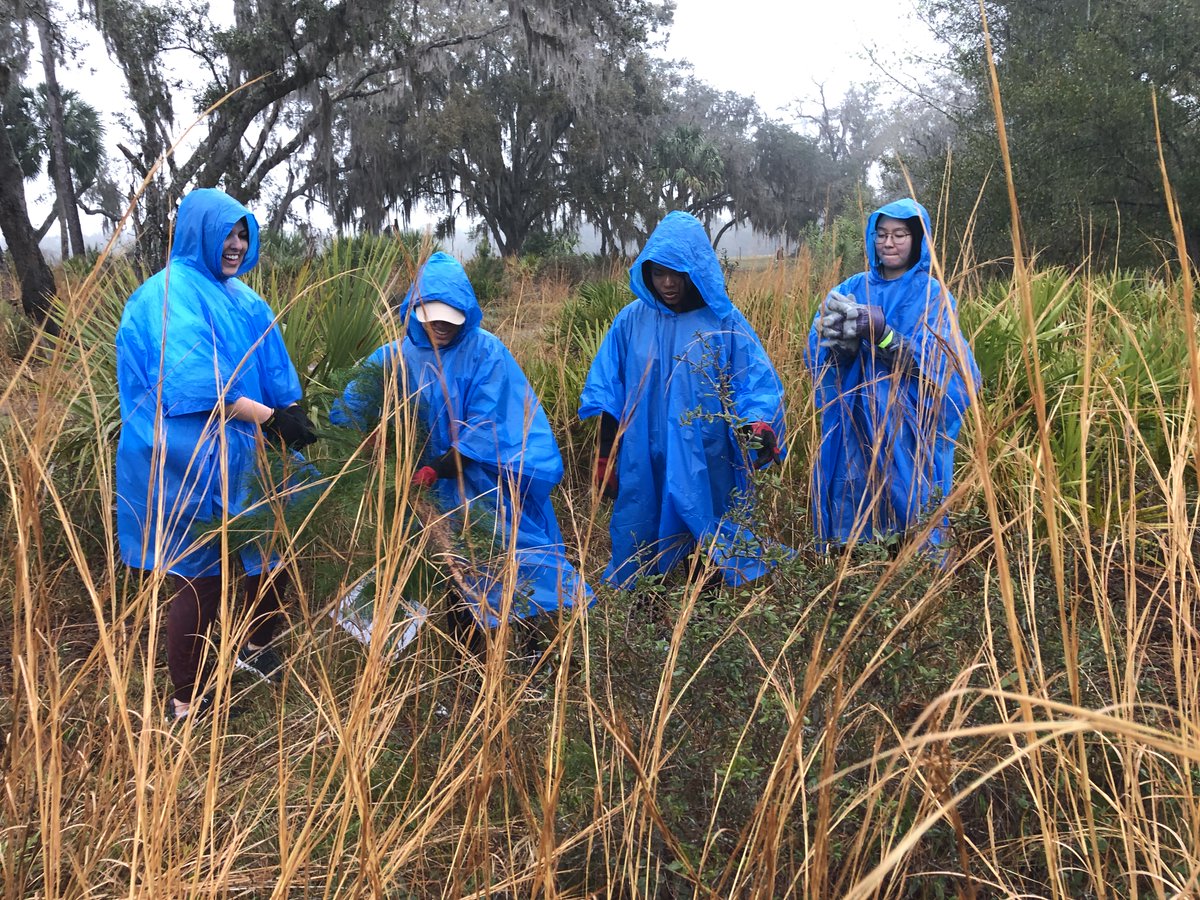 SERVProgram's tweet image. Thanks to @VolunteerUCF for joining us on a rainy adventure at #Chuluota Wilderness Area for #springintoservice! We removed ~662 encroaching sand pines to protect #biodiversity &amp;amp; habitat for #wildlife. Thanks also to participants from @LEADScholars &amp;amp; LAE 😃 @seminolecounty