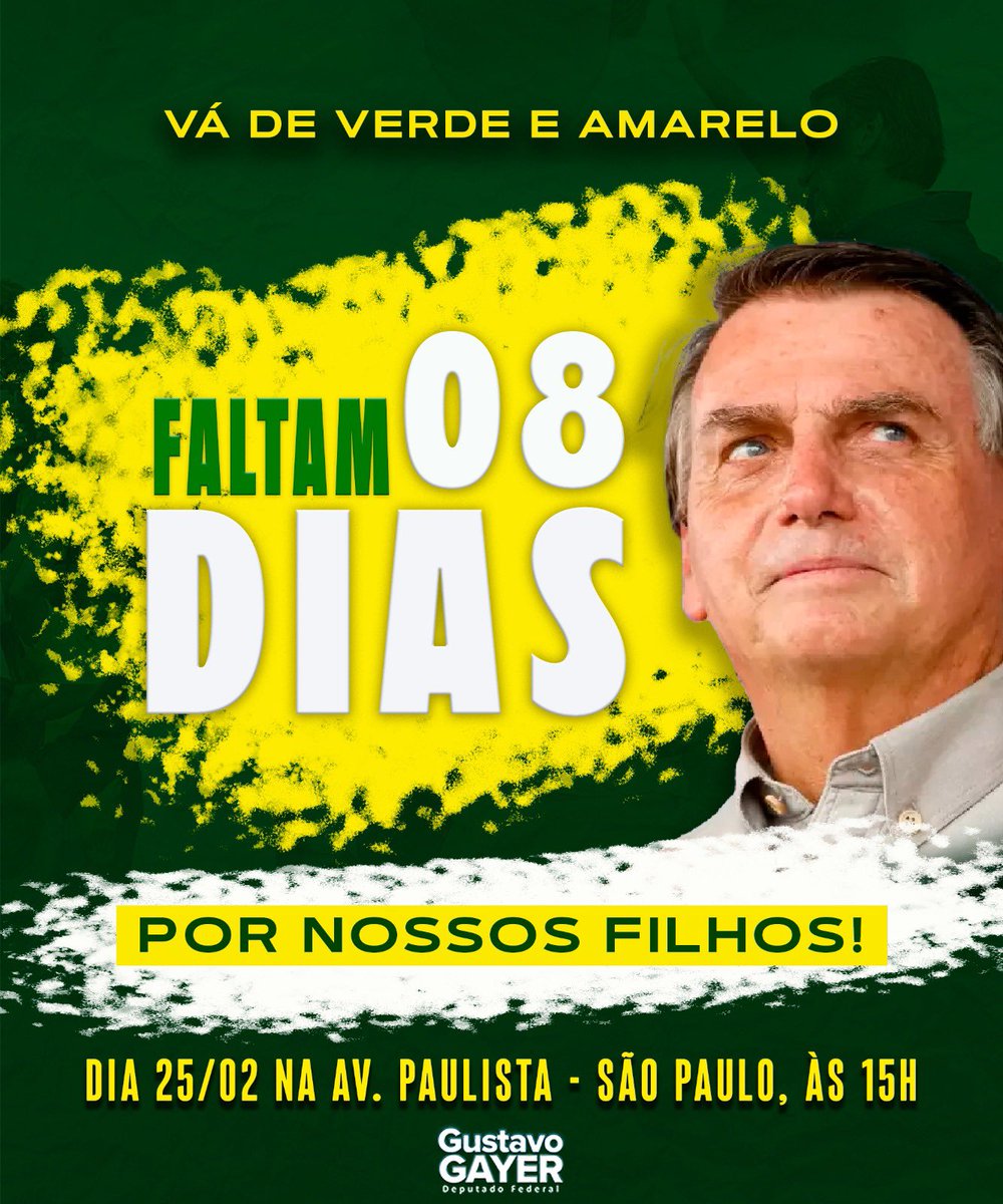 Gustavo Gayer tweet media