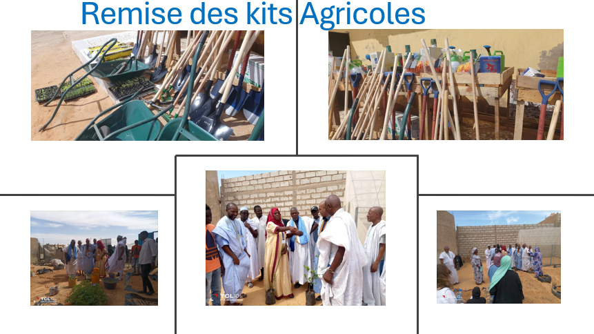OngSedf's tweet photo. 📍 Nouakchott Sud (El Mina et Riyad)

📷 🌱 🌱 🥕 🌶 🍒  Le 16/02/2024, Cérémonie de remise des kits Agricole pour les Champs Pilote d’Agroécologie pour les 5 coopératives féminines de produire
@LabessTN @AFD_France 
@Pulse_GroupeSOS Ecodev https://t.co/wqChxA8Nci
