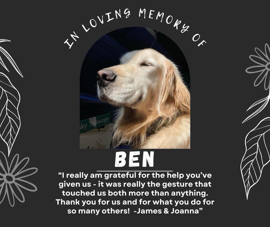 Our friends at @FurFest are forever family. Recently, James reached out with an unimaginable cancer diagnosis in his dog Ben. Ben recently passed away and we were able to cover their bills. We love you James and Joanna. We are so sorry. @livelikeroo