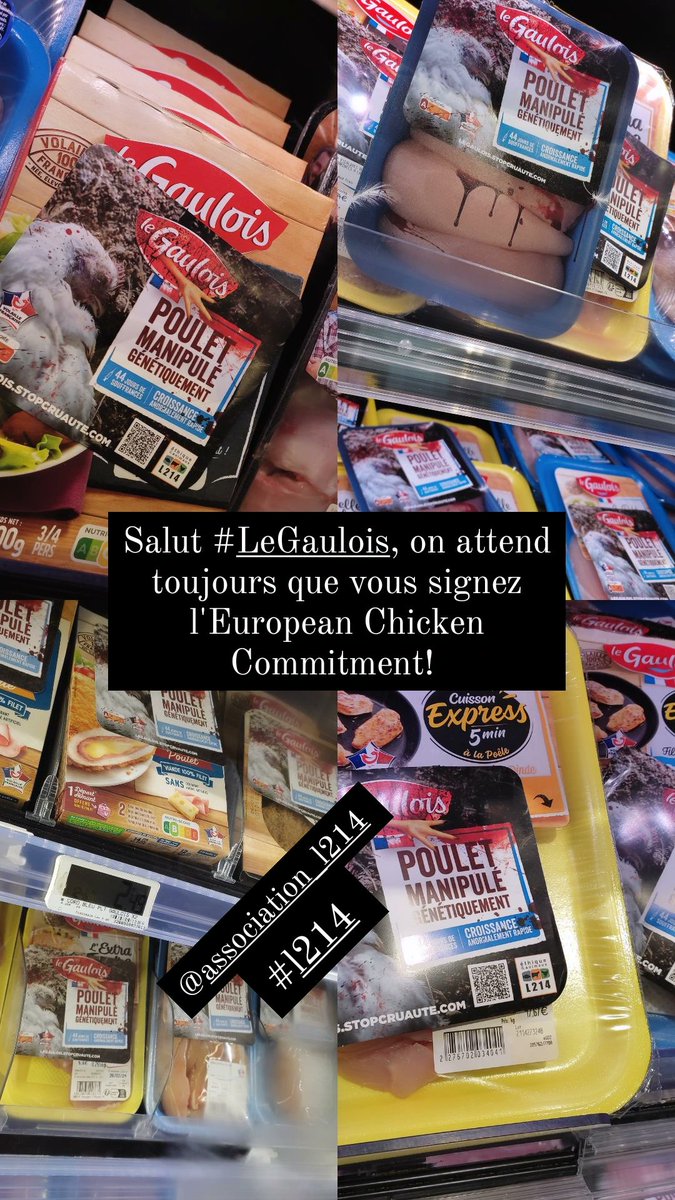 Salut #LeGaulois  on attend toujours que vous signez l'European Chicken Commitment avec #L214 @L214

#EuropeanChickenCommitement #FrAgTw #élevage #poulet #StopCruaute
@PaulineLaporte3