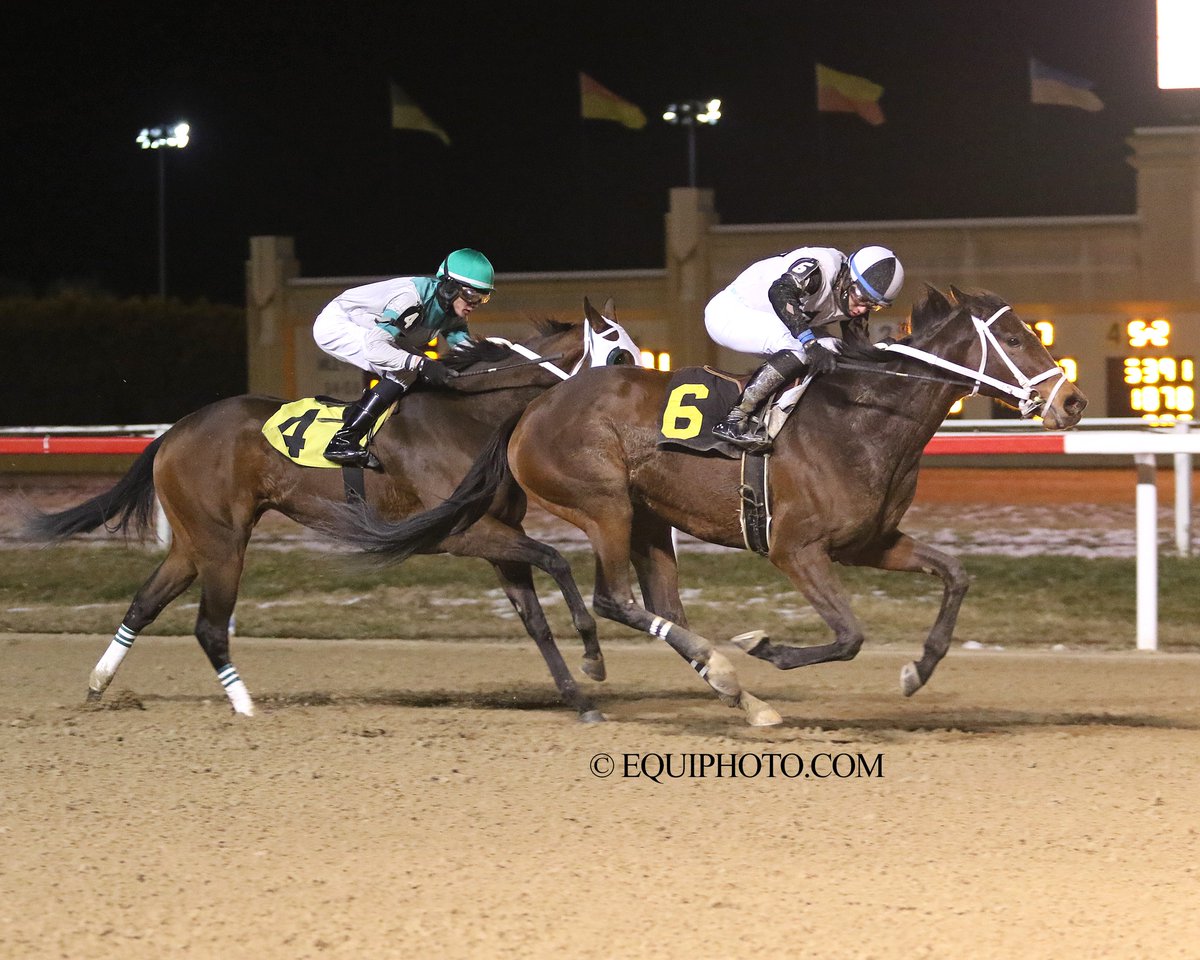 2 wins Friday night at @HollywoodPenn for @JHernandezz06 - topped off by his ride in race 5 astride Brief, for trainer/co-owner @chircopracing & co-owner Eric Ross. Since shipping in from @WoodbineTB, Brief has finished in the money in all 3 of his local starts. 📸: Equi-Photo