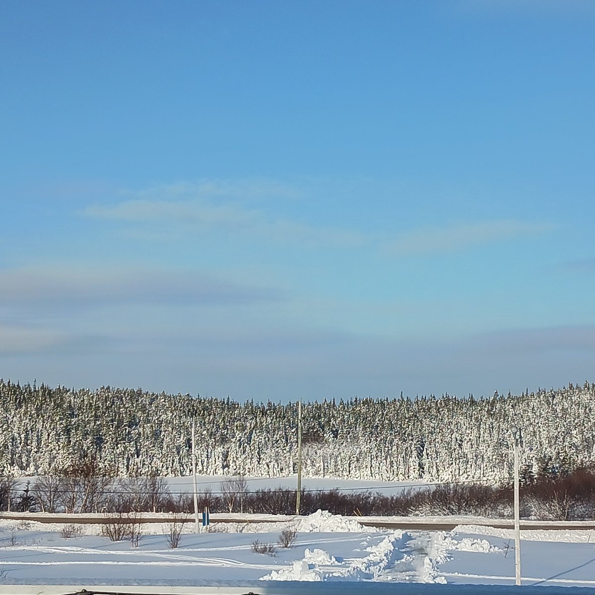 A gorgeous day, following the 2-day storm.

#BonavistaPeninsula