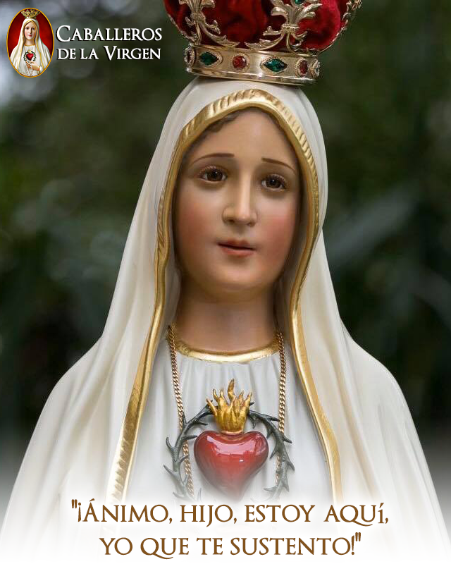 Cab_Virgen's tweet photo. Cuando estamos cansados, desanimados, abrumados por los problemas, miremos a María, sintamos su mirada que nos dice al corazón: "¡Ánimo, hijo, estoy aquí, yo que te sustento!" https://t.co/18UIvt5Alx