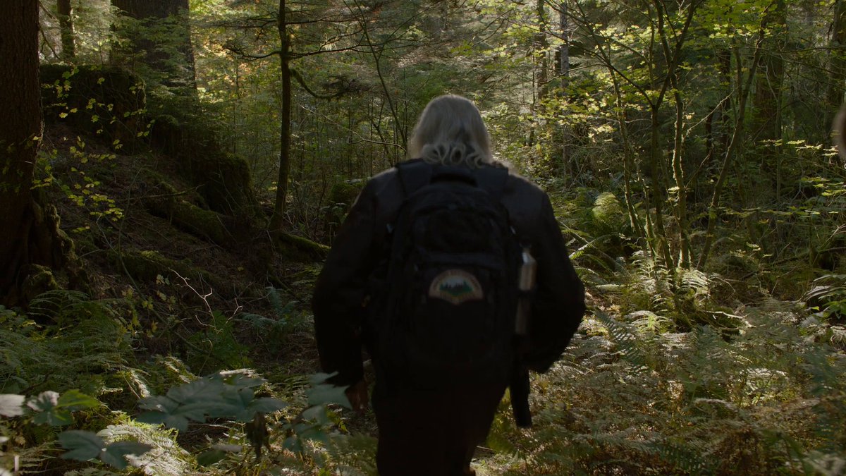 'Gordon reminisces, friends explore forest, James' birthday tale, and Sarah's secret unveiled in #TwinPeaks episode.' #GordonRemembers #ForestExploration #BirthdaySurprise #SarahRevealed [From Twin Peaks, Ep: 'Part 14,' (Sun, Aug 13, 2017). Dir. by David Lynch]