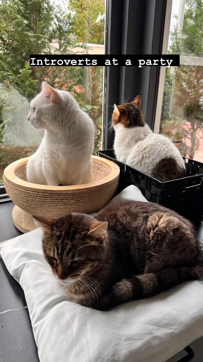 Introverts at a party