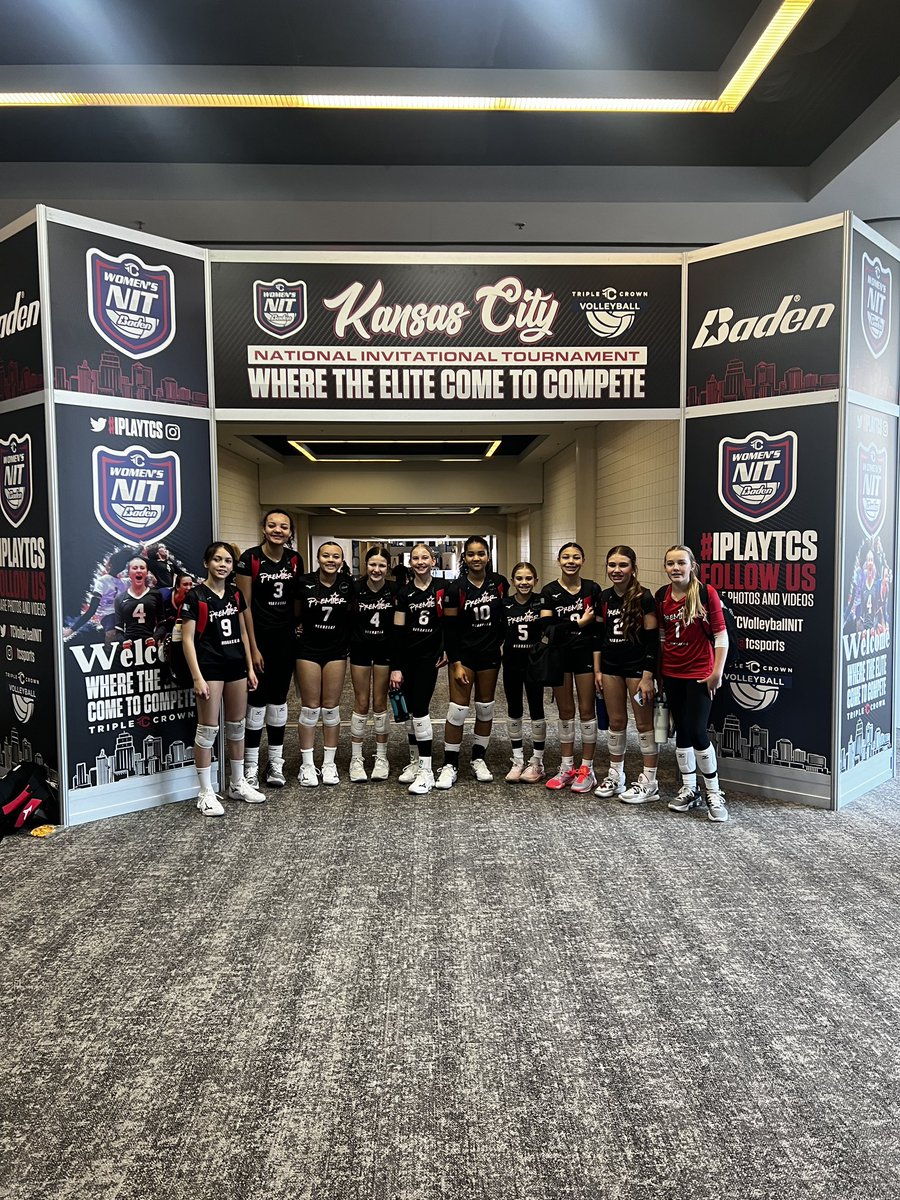 Premier 12 Gold tweet media