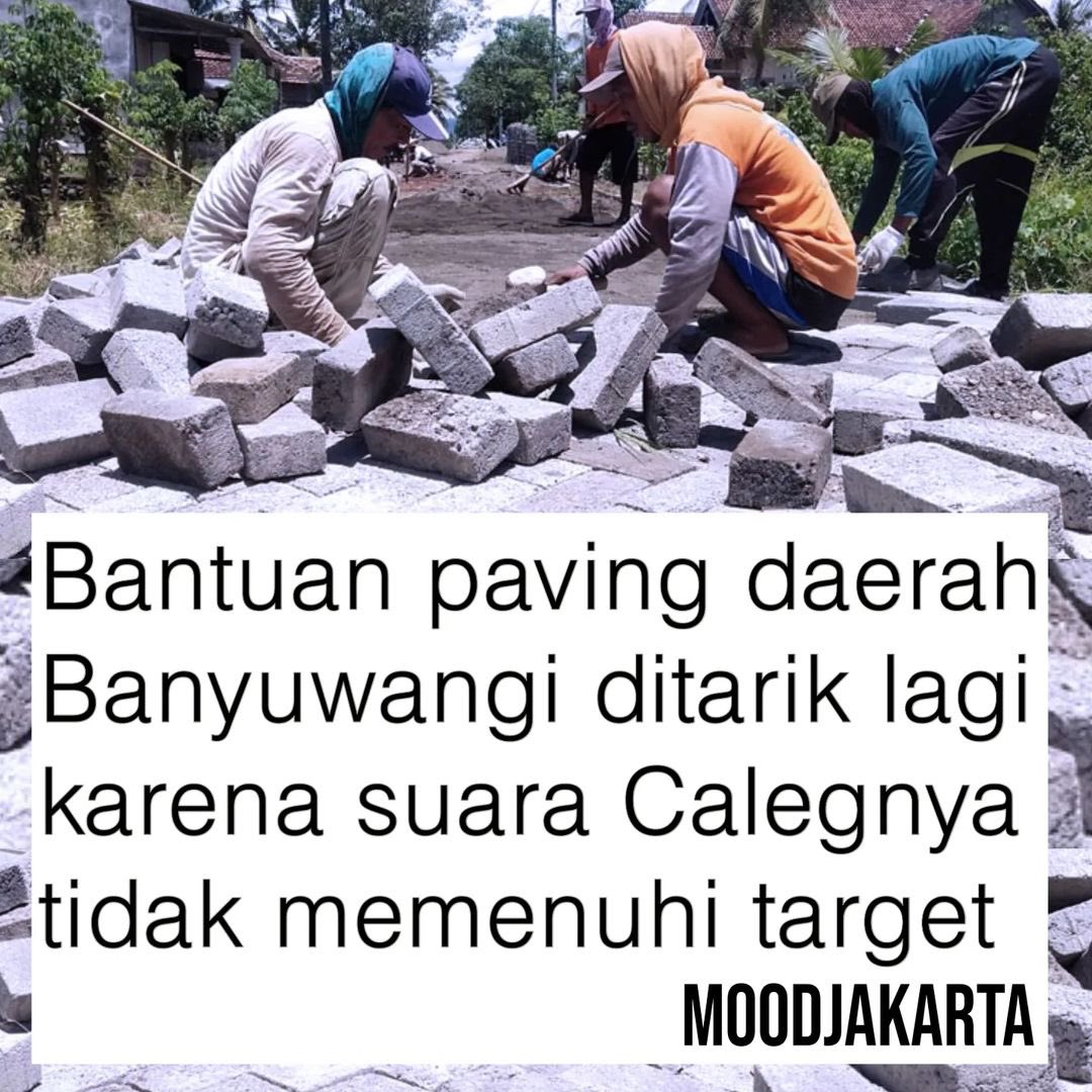 Sebuah video viral menampilkan adanya peristiwa pembongkaran paving yang dinarasikan hasil bantuan oleh calon legislatif (caleg) yang diduga terjadi di wilayah Kabupaten Banyuwangi, Jawa Timur. Videonya diunggah pada Jumat (16/02/2024). 

"Caleg tadinya nyumbang paving kalah