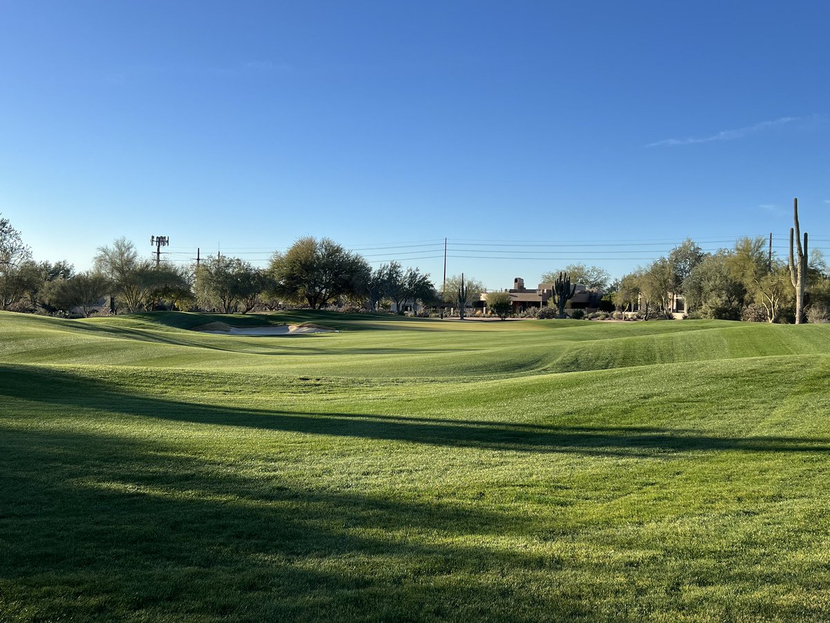 #overseed is starting to ✨ after the rains @TontoVerdeGolf1 ⛳️ ☀️ #summerscoming