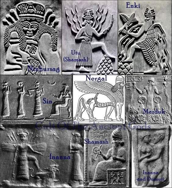 I4m166's tweet photo. “The #sacred rights of mankind are not to be rummaged for, among old #parchments, or musty #records. They are written, as with a sun beam in the whole volume of #humannature, by the #hand of the divinity itself; and can never be erased or #obscured by #mortal power.” Alexander H. https://t.co/nCHDvAWlZS