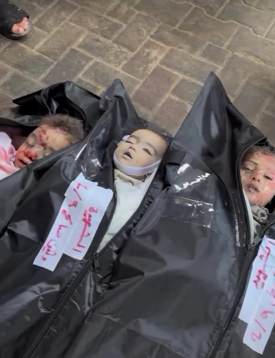 Rodri_Squella tweet media