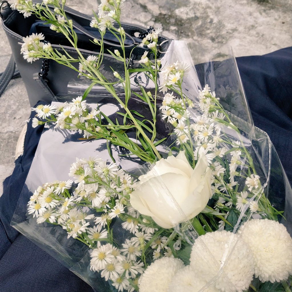 dindraftt's tweet photo. 🕊 https://t.co/WAyKBzjpYg